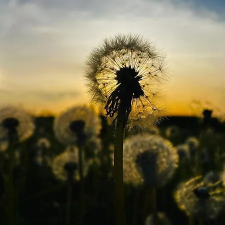 Chalet Warminska Hyttka *