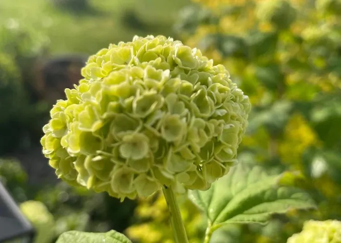 Chalet Warminska Hyttka Stryjewo